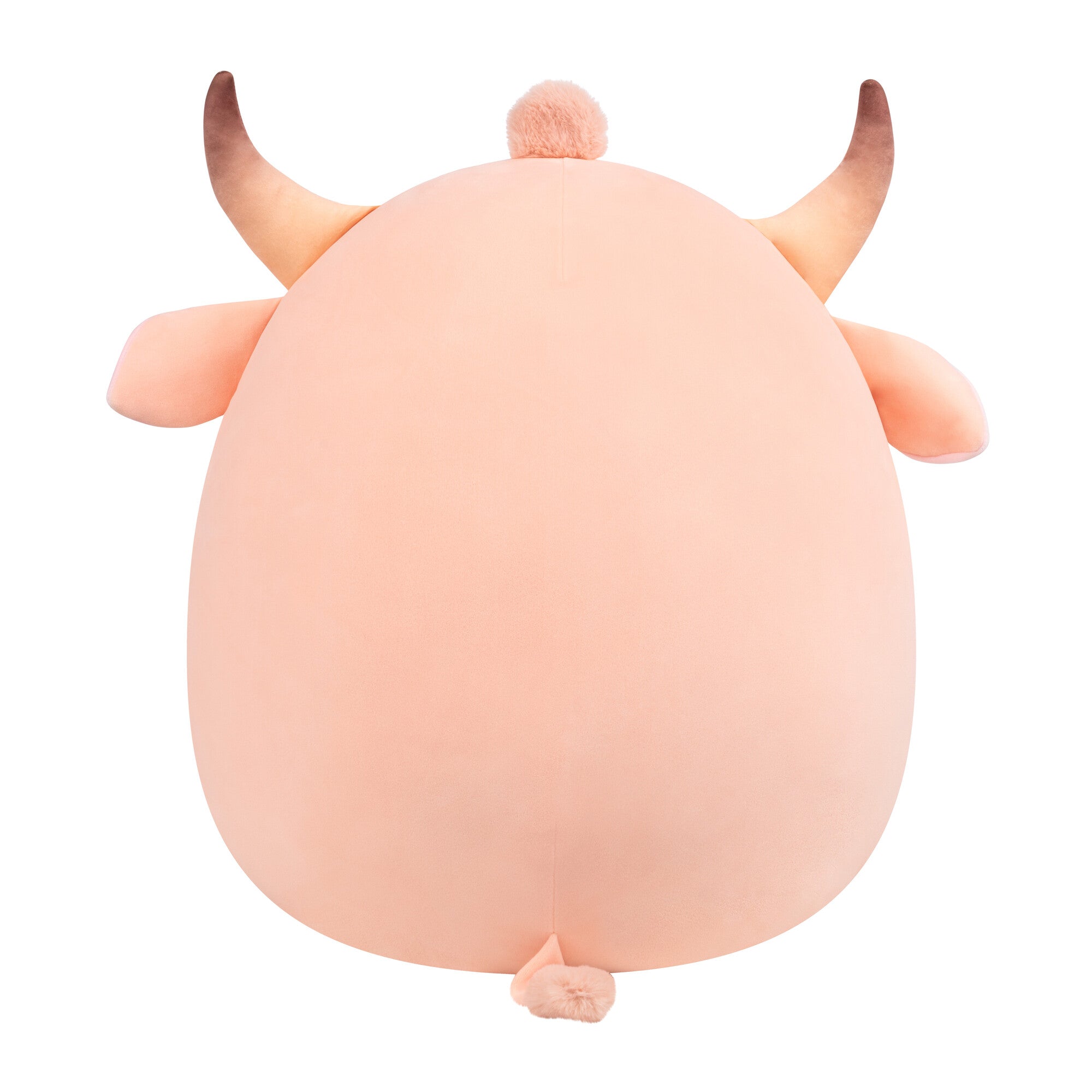 20-Inch Howland the Peach Brahman Bull - Image 4